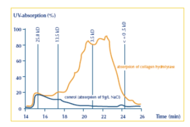橘線最高峰,為分子大小3000Da的吸收率,代表最容易被人體吸收