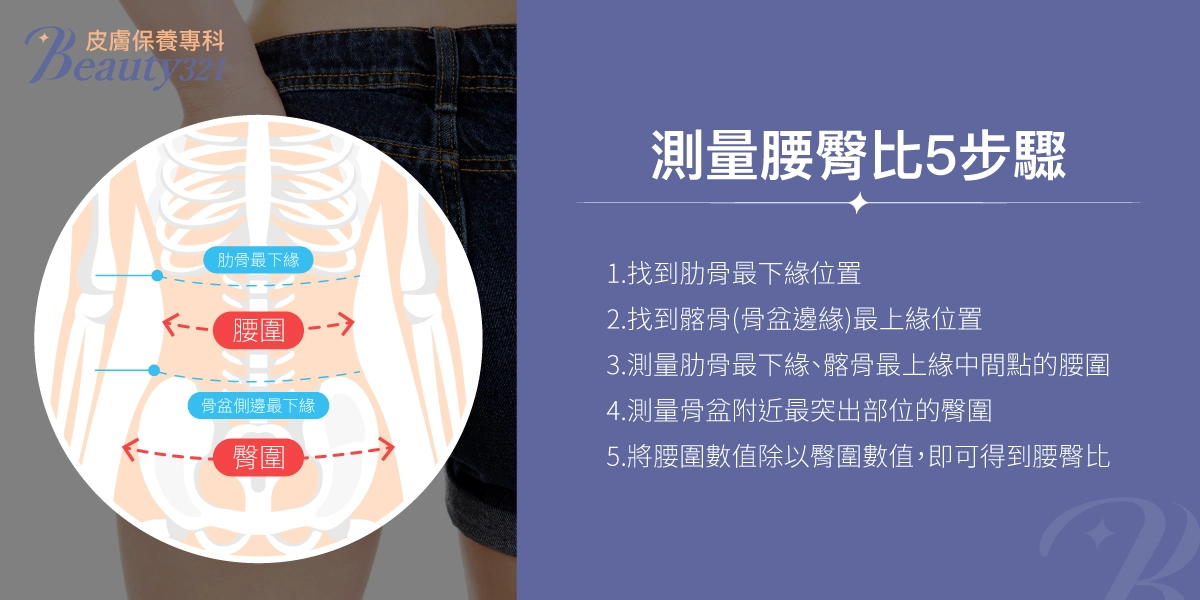 測量腰臀比5步驟： 1.找到肋骨最下緣位置 2.找到髂骨（骨盆邊緣）最上緣位置 3.測量肋骨最下緣、髂骨最上緣中間點的腰圍 4.測量骨盆附近最突出部位的臀圍 5.將腰圍數值除以臀圍數值，即可得到腰臀比