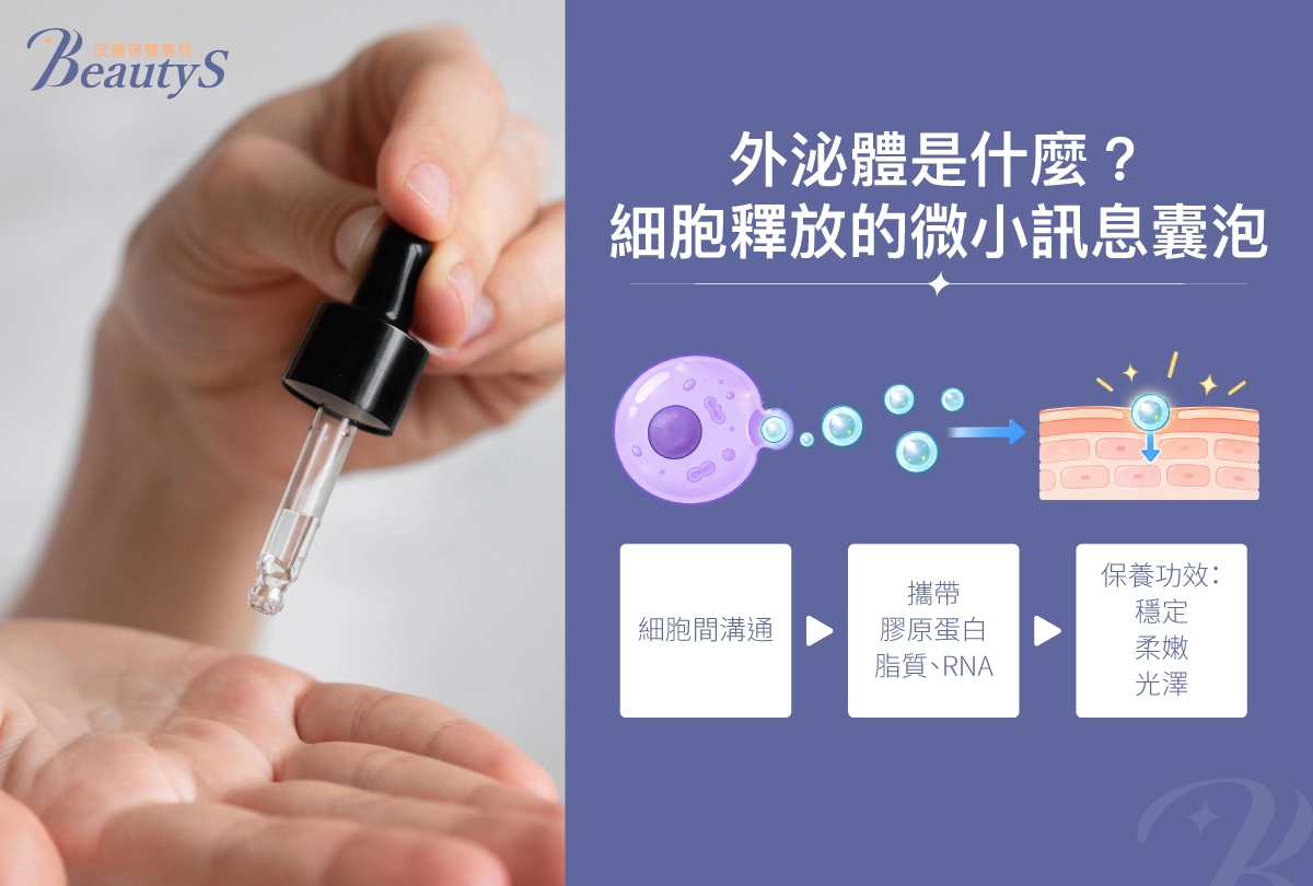 什麼是外泌體（Exosomes）
